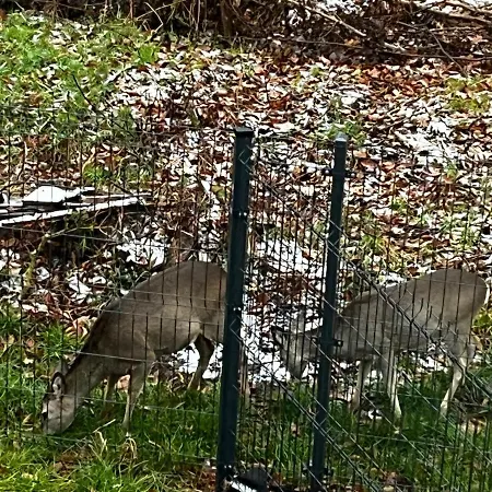 Gut Time Vakantiehuis