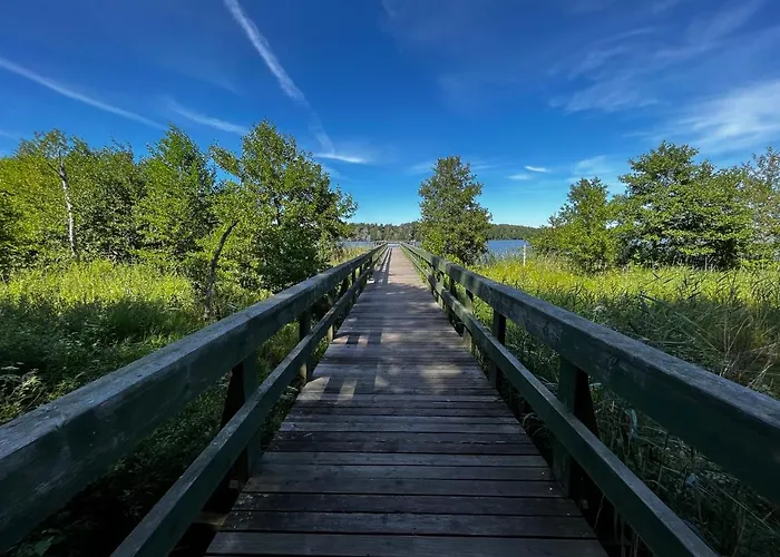 Gut Time * Smoldzinski Las