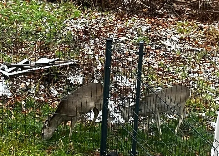 Gut Time Semesterbostad